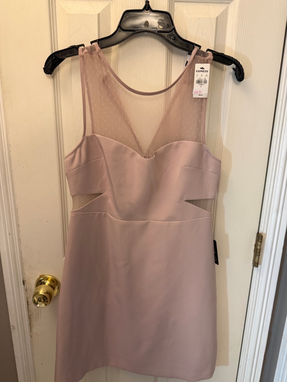 Express Dusty Blush Mesh Yoke Cutout Mini Dress